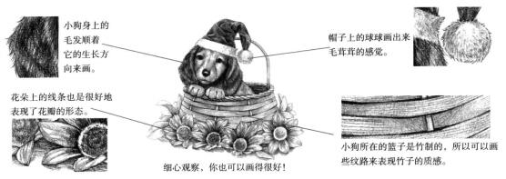 物體的質(zhì)感