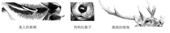 物體的特征