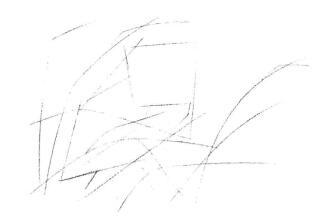 貓頭鷹素描畫線稿畫法步驟01