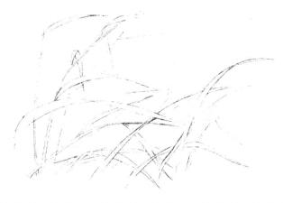 貓頭鷹素描畫線稿畫法步驟02