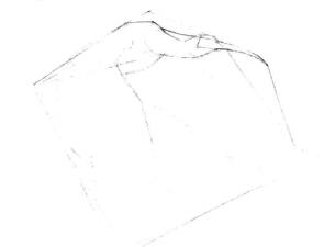 朱鹮素描畫(huà)線(xiàn)稿畫(huà)法步驟01