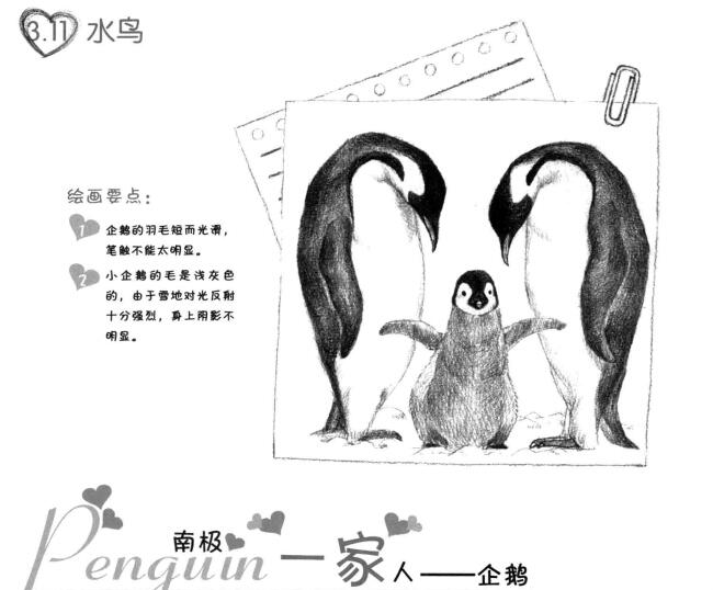 企鵝一家三口素描畫法