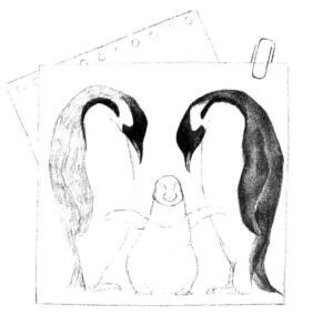 企鵝一家三口素描鋪大色畫法步驟04