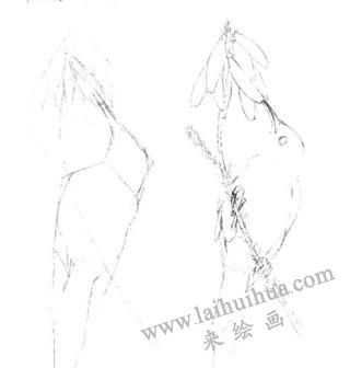 蜂鳥的素描畫線稿畫法