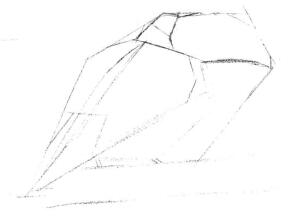 巨嘴鳥的素描畫線稿畫法步驟02