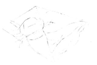 六角恐龍的素描畫線稿畫法步驟02