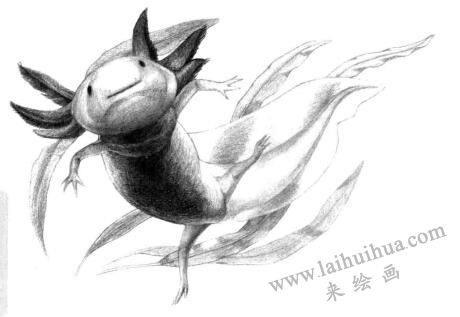 六角恐龍的素描畫法