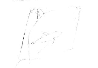 虎鯨的素描畫線稿畫法步驟01