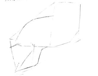 海獅的素描畫線稿畫法步驟01
