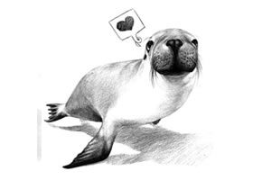 海獅的素描畫(huà)法
