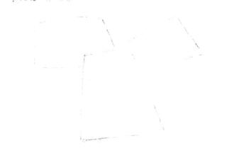 牛角魚素描畫線稿畫法步驟01