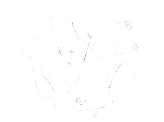 牛角魚素描畫線稿畫法步驟02