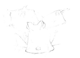 牛角魚素描畫線稿畫法步驟03