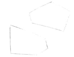 碟尾金魚(yú)素描畫線稿畫法步驟01