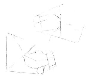 碟尾金魚(yú)素描畫線稿畫法步驟02