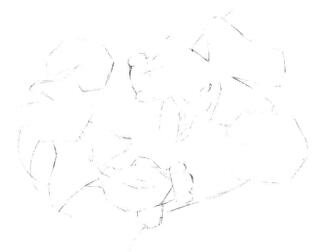 碟尾金魚(yú)素描畫線稿畫法步驟04