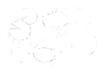 碟尾金魚(yú)素描畫線稿畫法步驟05