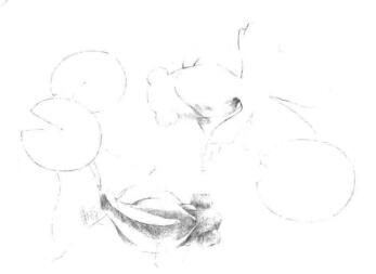 碟尾金魚(yú)素描鋪大色畫法步驟02