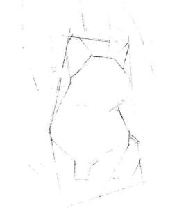 暹羅貓的素描畫法步驟