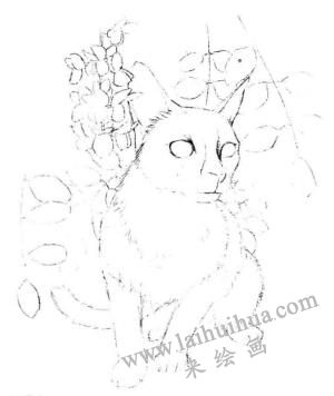 暹羅貓的素描畫法步驟