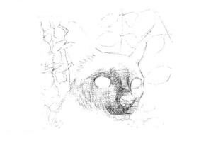 暹羅貓的素描畫法步驟