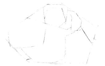 天竺鼠畫法步驟,小豚鼠素描畫法,小倉(cāng)鼠素描畫法