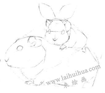 天竺鼠畫法步驟,小豚鼠素描畫法,小倉(cāng)鼠素描畫法