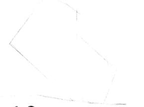 小香豬的素描畫法步驟