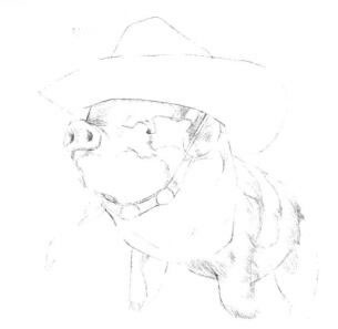 小香豬的素描畫法步驟