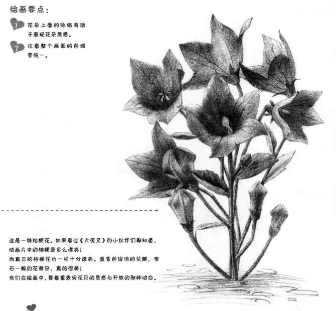桔?；ǖ乃孛璁嫹?></p>

<p> </p>

<p class=