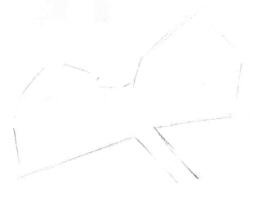 木棉花的素描畫(huà)線稿畫(huà)法步驟02
