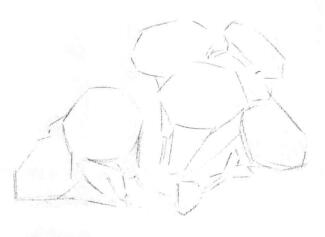 凌霄花的素描畫線稿畫法步驟02
