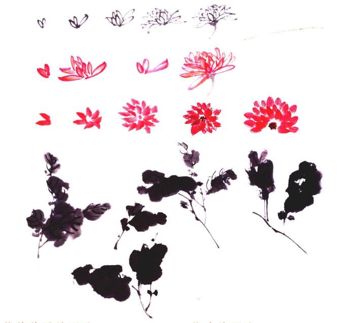 菊花花瓣和菊葉的國(guó)畫畫法