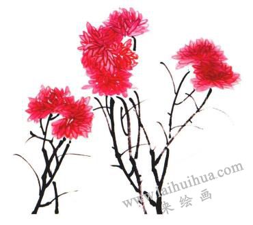 紅菊的國畫畫法步驟03