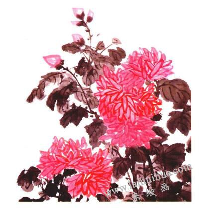 紅菊的國畫畫法步驟05
