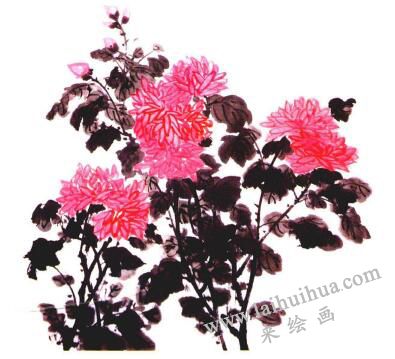 紅菊的國畫畫法步驟06