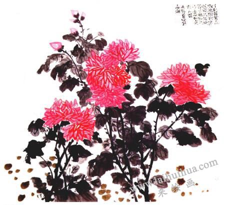 紅菊的國畫畫法