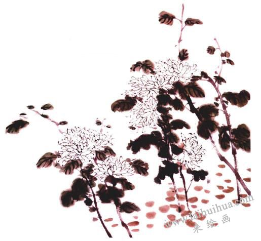 白菊的國(guó)畫畫法步驟04