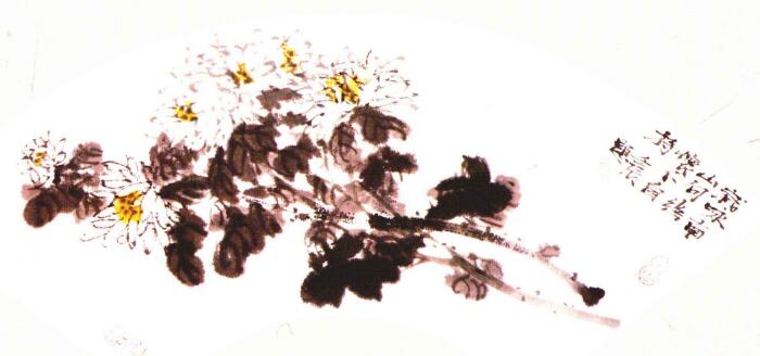 扇面白菊的畫法