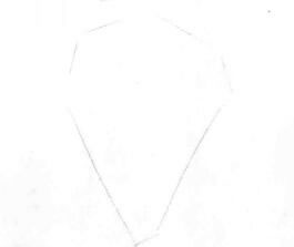 忍冬花的素描畫(huà)線(xiàn)稿畫(huà)法步驟01