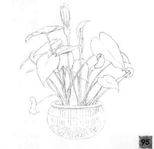 滴水觀音的素描畫法步驟04