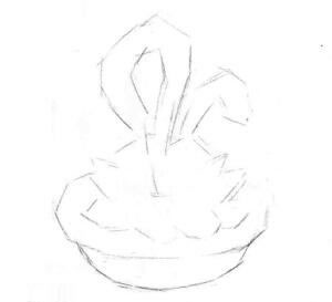 石蓮花的素描畫(huà)線(xiàn)稿畫(huà)法步驟02