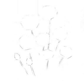 矢車菊的素描畫線稿畫法步驟01