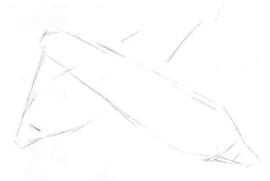 玉米的素描畫(huà)法步驟02，畫(huà)線稿