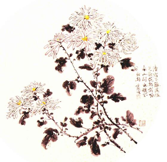團扇菊花的畫法步驟范例二