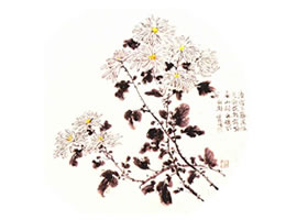 團(tuán)扇菊花的畫法步驟范例二