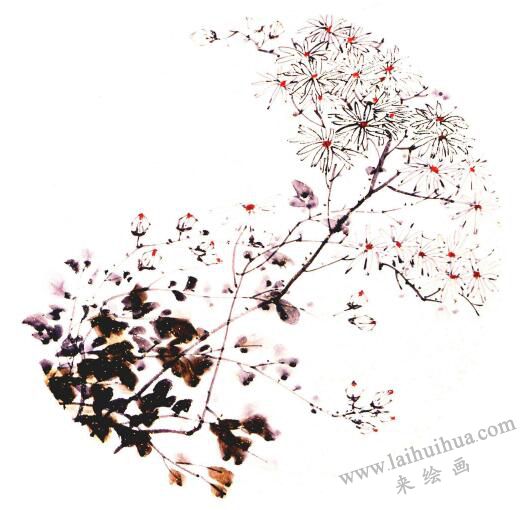 團(tuán)扇菊花的畫法步驟03，范例四