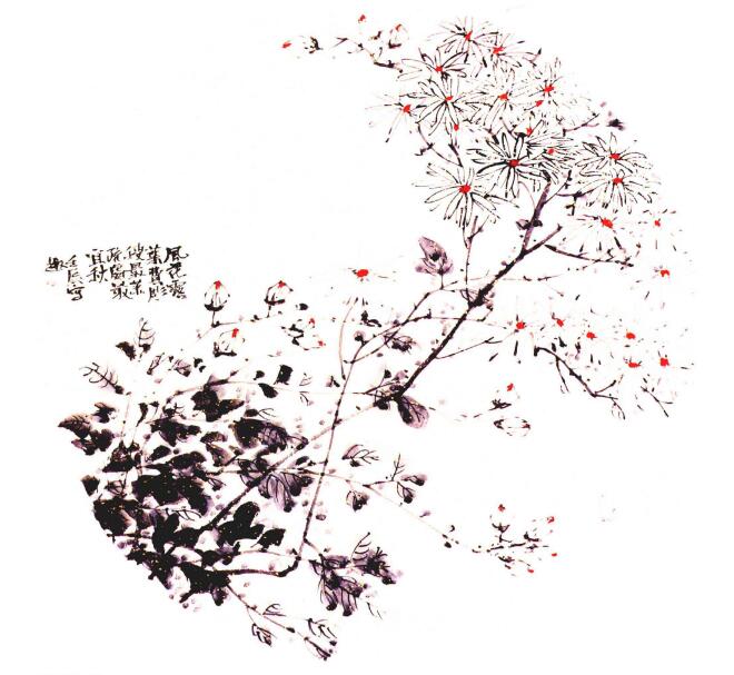 團(tuán)扇菊花的畫法步驟范例四