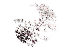 團(tuán)扇菊花的畫法步驟范例四