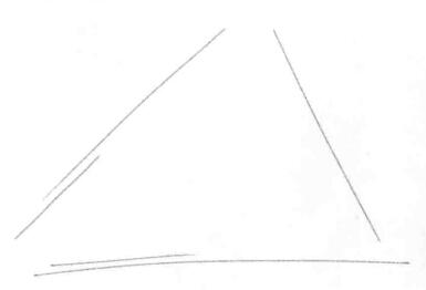 山核桃的素描畫法步驟01，畫線稿